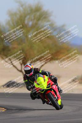 media/Nov-05-2022-SoCal Trackdays (Sat) [[f8d9b725ab]]/Turn 4 Tree of Life (125pm)/